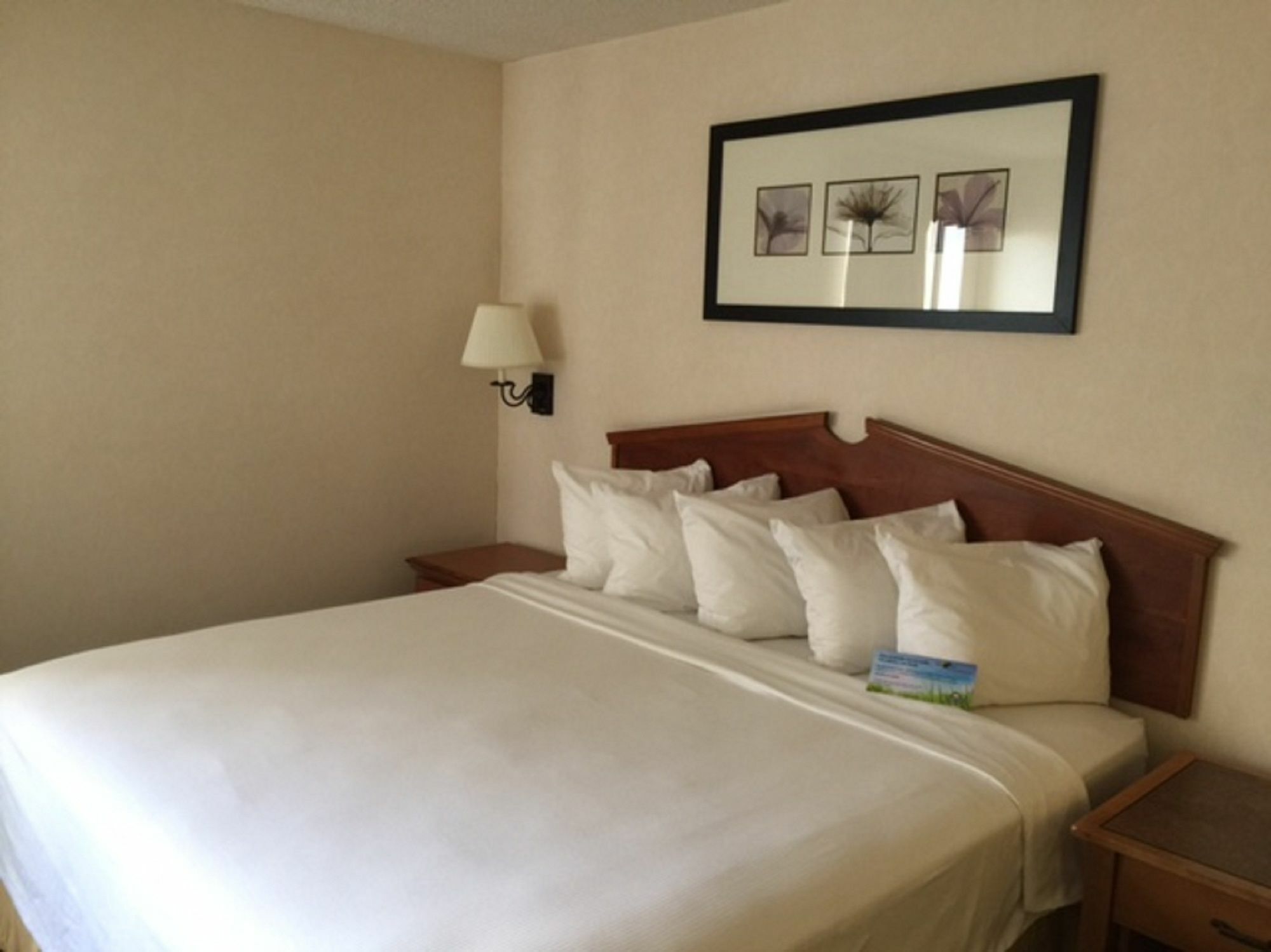 Days Inn & Suites By Wyndham Denver International Airport DEN Exterior foto